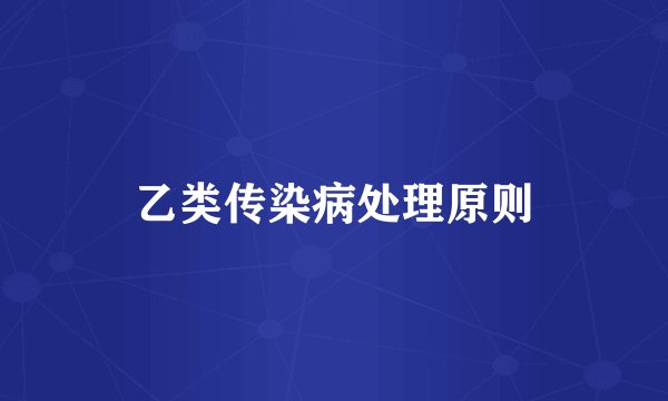 乙类传染病处理原则