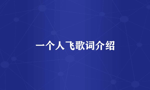 一个人飞歌词介绍