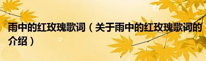 雨中的红玫瑰歌词（关于雨中的红玫瑰歌词的介绍）