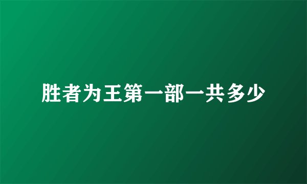 胜者为王第一部一共多少