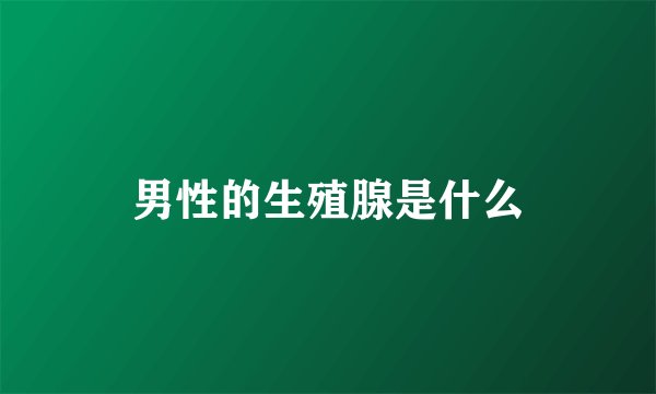 男性的生殖腺是什么