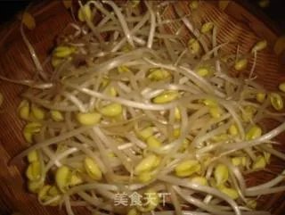 凉拌黄豆芽