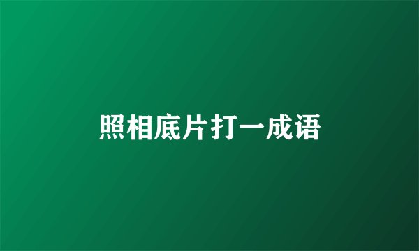 照相底片打一成语