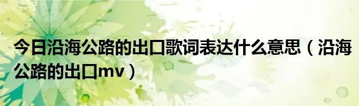 今日沿海公路的出口歌词表达什么意思（沿海公路的出口mv）