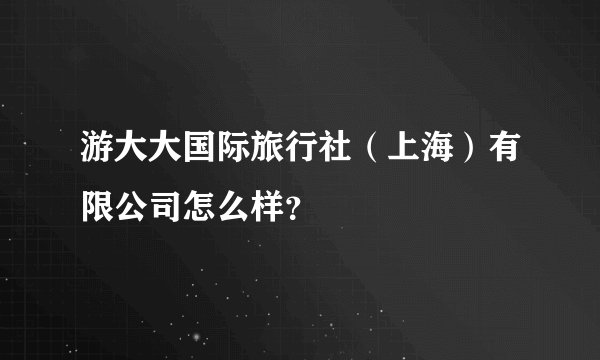 游大大国际旅行社（上海）有限公司怎么样？
