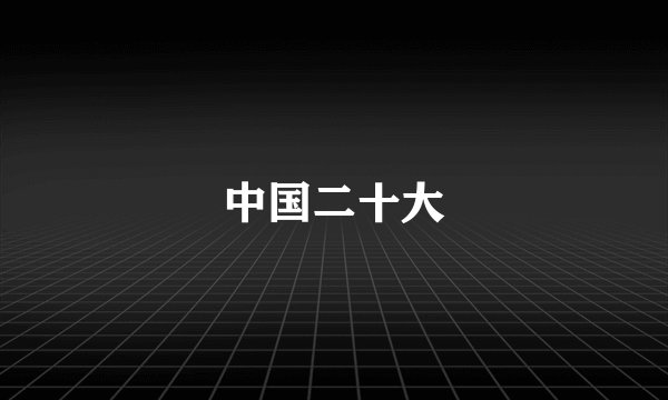中国二十大