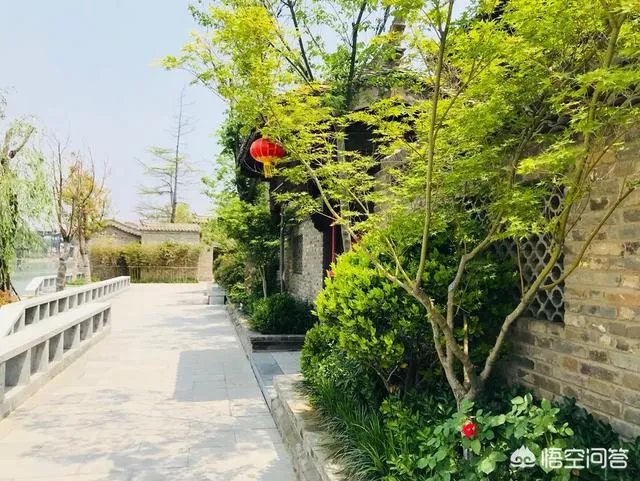 如何看待罗永浩的锤子科技与锤子手机?