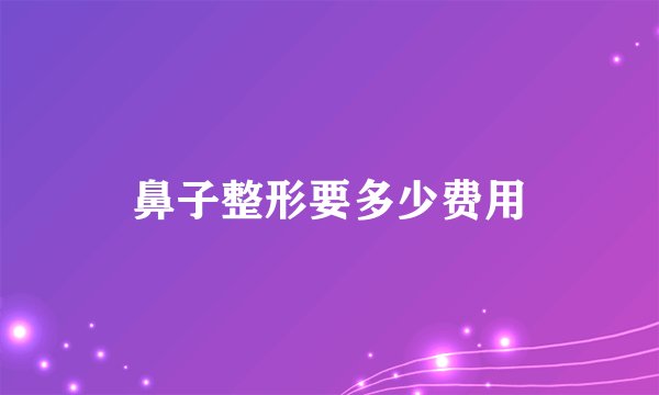 鼻子整形要多少费用