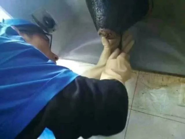 清洗油烟机加盟靠谱吗 投资油烟机清洗行业利润如何