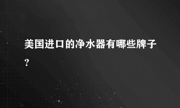美国进口的净水器有哪些牌子？
