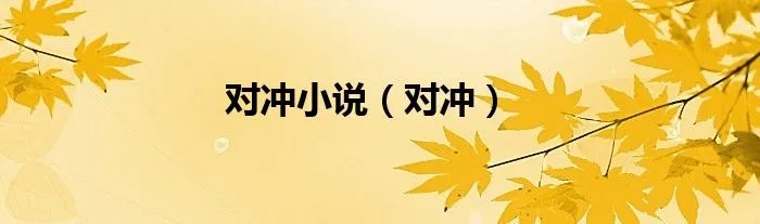 对冲小说（对冲）