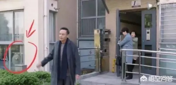 《都挺好》都有哪些穿帮镜头?