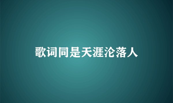 歌词同是天涯沦落人