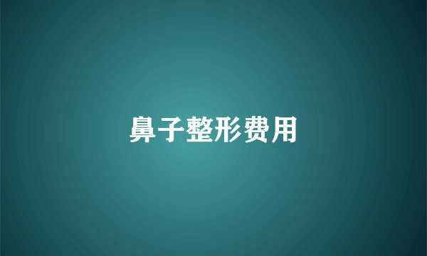 鼻子整形费用