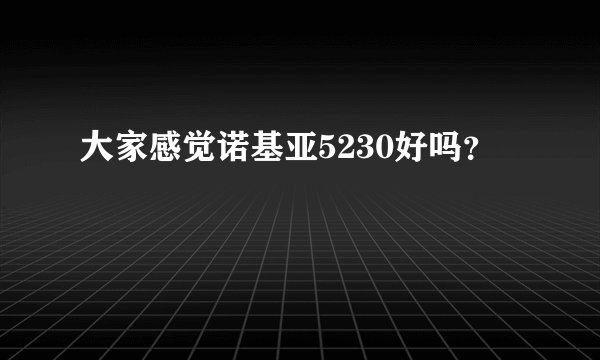 大家感觉诺基亚5230好吗？