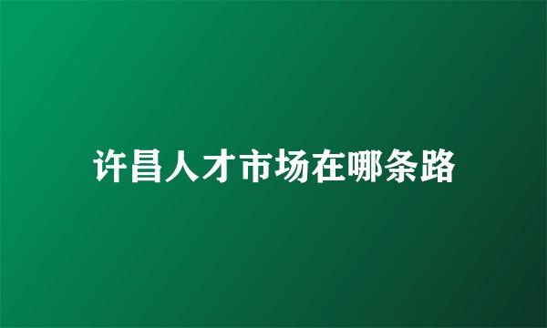 许昌人才市场在哪条路