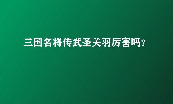 三国名将传武圣关羽厉害吗?