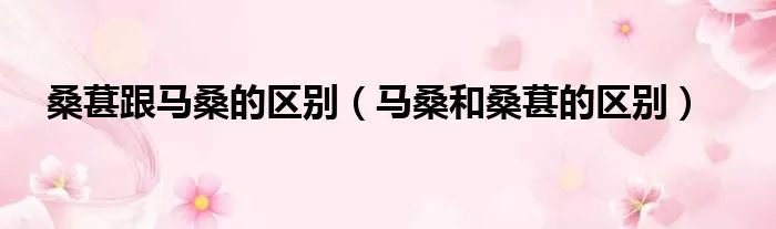 桑葚跟马桑的区别（马桑和桑葚的区别）