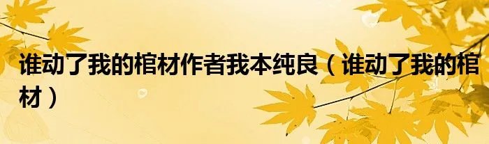 谁动了我的棺材作者我本纯良（谁动了我的棺材）