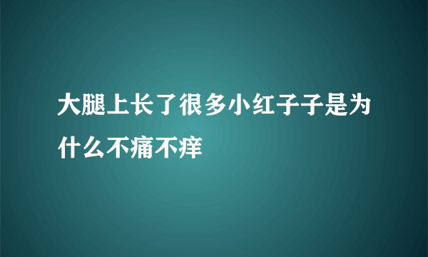 大腿上长了很多小红子子是为什么不痛不痒
