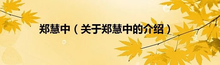 郑慧中（关于郑慧中的介绍）