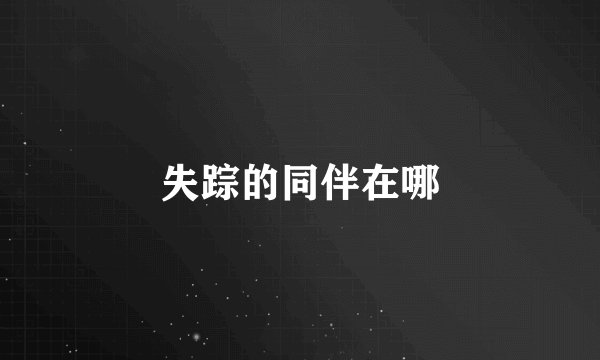 失踪的同伴在哪