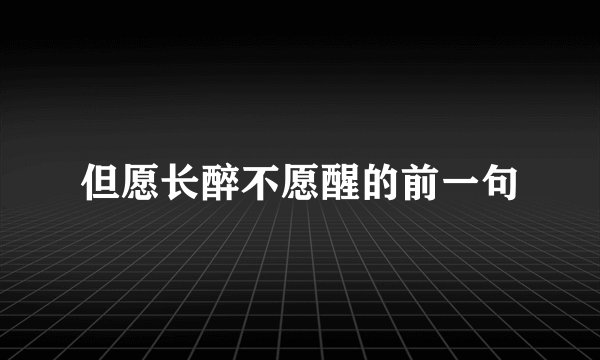 但愿长醉不愿醒的前一句