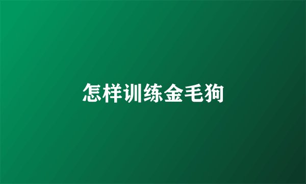 怎样训练金毛狗