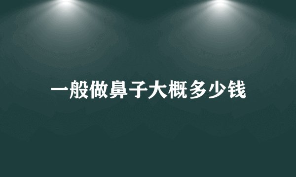 一般做鼻子大概多少钱