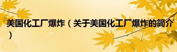 美国化工厂爆炸（关于美国化工厂爆炸的简介）