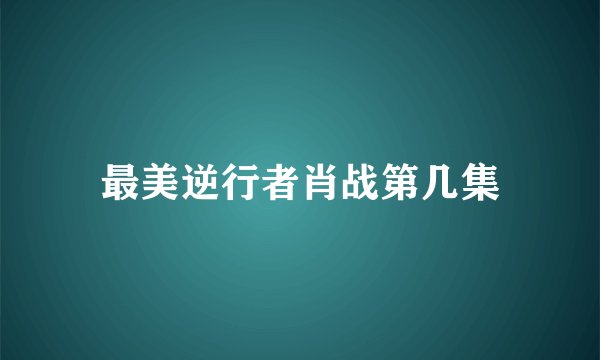 最美逆行者肖战第几集