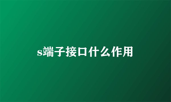 s端子接口什么作用