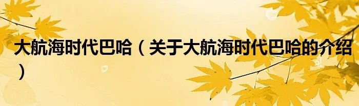 大航海时代巴哈（关于大航海时代巴哈的介绍）