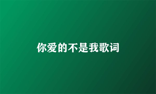 你爱的不是我歌词