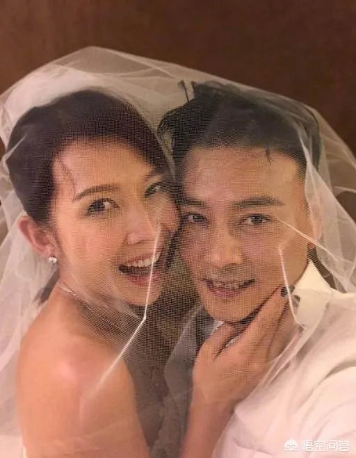娱乐圈有哪些都很出名的明星夫妇?