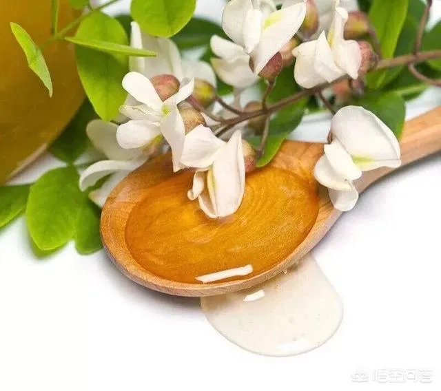刺槐树有什么作用？