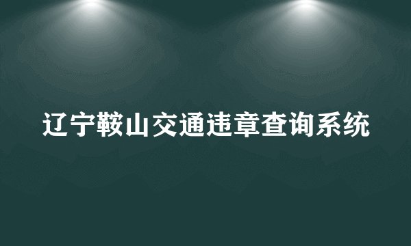 辽宁鞍山交通违章查询系统