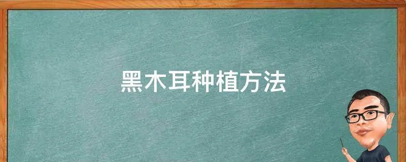 黑木耳种植方法