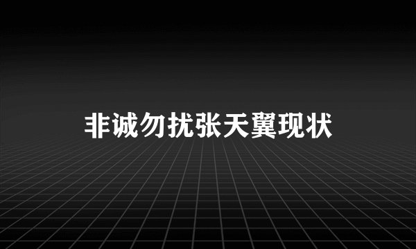 非诚勿扰张天翼现状