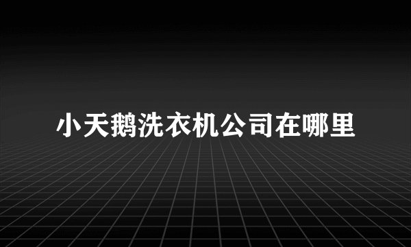 小天鹅洗衣机公司在哪里