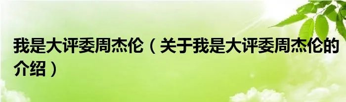 我是大评委周杰伦（关于我是大评委周杰伦的介绍）