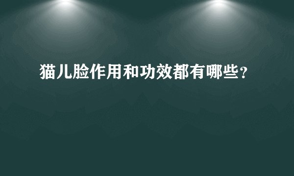 猫儿脸作用和功效都有哪些？