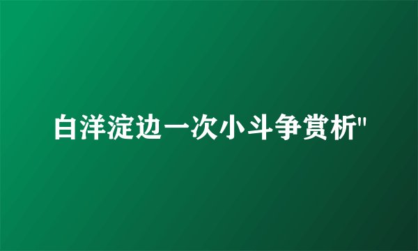 白洋淀边一次小斗争赏析