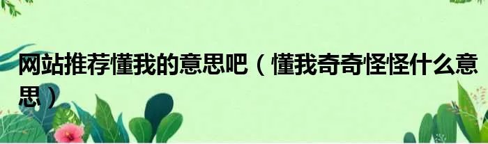 网站推荐懂我的意思吧（懂我奇奇怪怪什么意思）