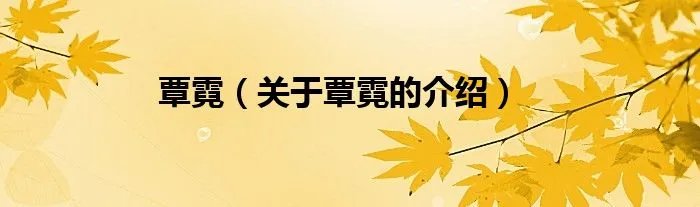 覃霓（关于覃霓的介绍）