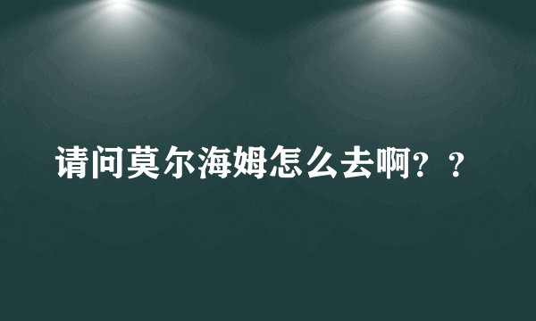 请问莫尔海姆怎么去啊？？