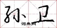 孙卫