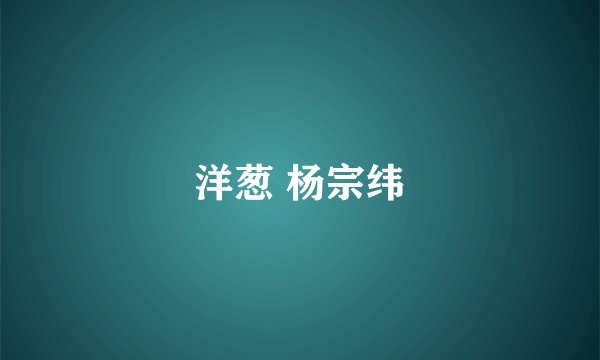 洋葱 杨宗纬