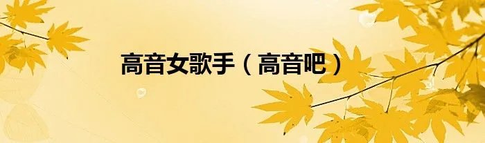 高音女歌手（高音吧）
