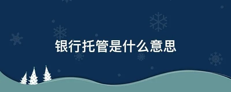 银行托管是什么意思